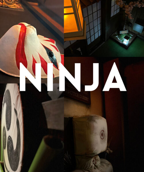 NINJA EK pic - 1